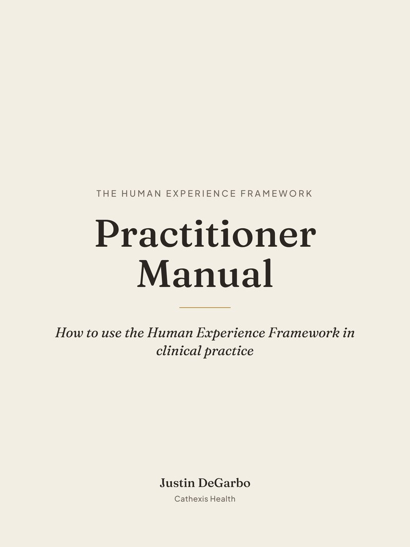 The Practitioner Manual cover, on Payhip